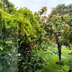 Meet your Posher, Phuc